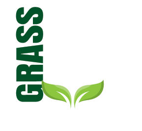 MAGIC GRASS